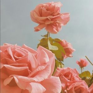 Meet your Posher, Madilyn